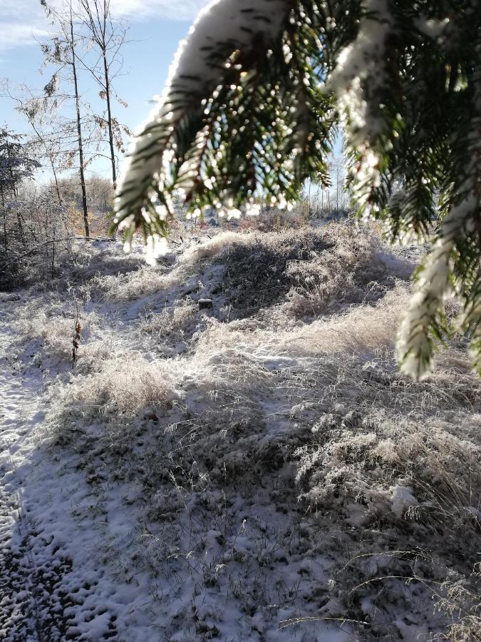 Guglhupf Wohlfuehl-Maisonette Mit Boxspring, Disney, Netflix Braunlage Eksteriør bilde