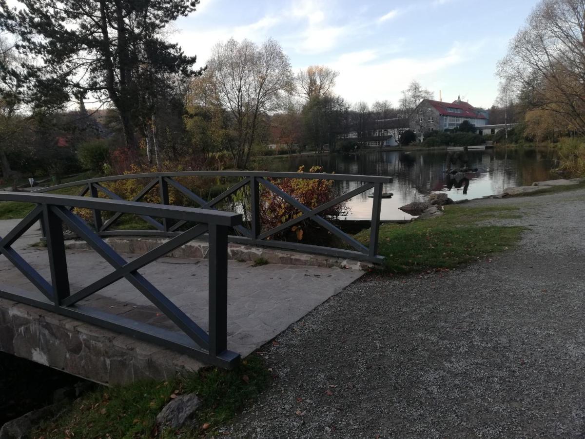 Guglhupf Wohlfuehl-Maisonette Mit Boxspring, Disney, Netflix Braunlage Eksteriør bilde